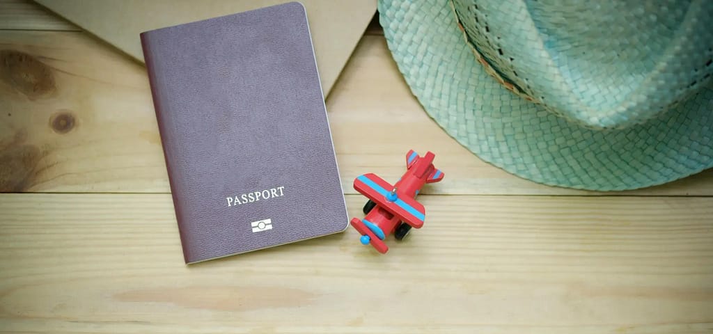 Türkiye Vizesi için Başvuru Süreci