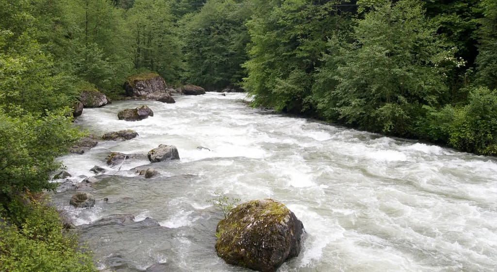 Nehir Söyleşi Nedir