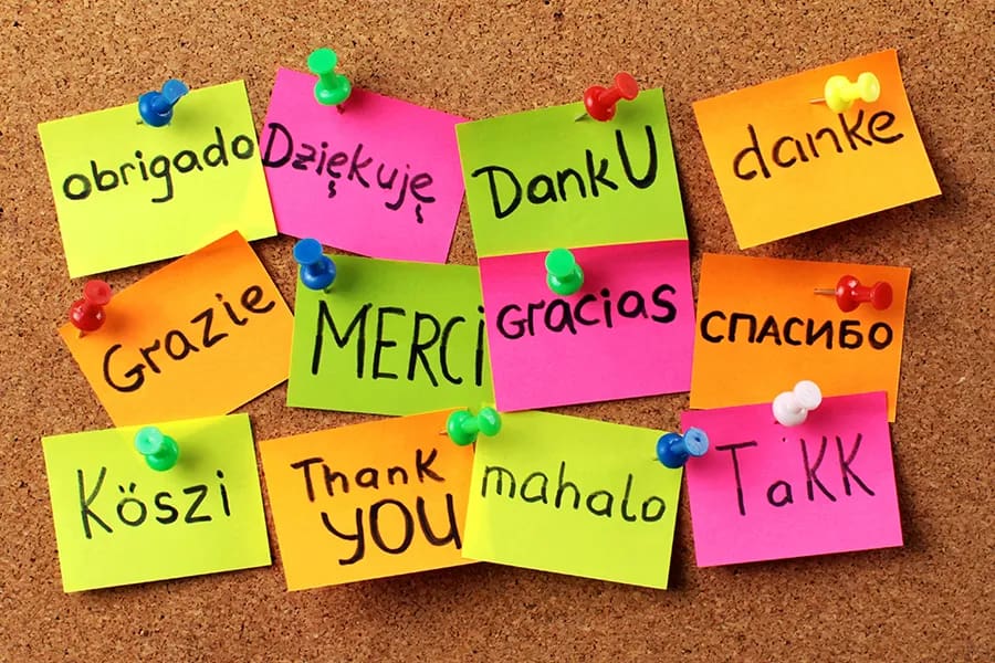 Uluslararası Öğrenciler İçin Dil Gereksinimleri: Akademik Başarıya Giden Yol